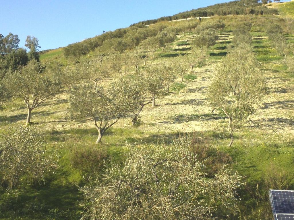 Villa Agriturismo Due Ganèe à Agrigente Extérieur photo